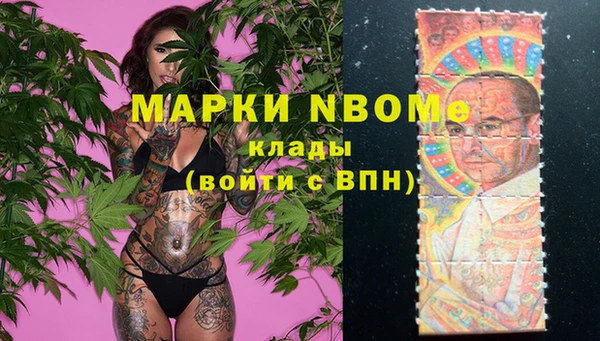 apvp Алексин