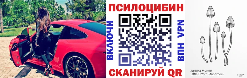 где купить наркоту  Александровское  Псилоцибиновые грибы прущие грибы 